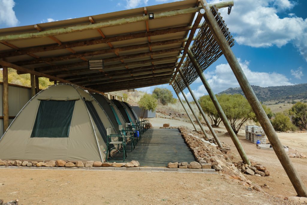 Haarlem 1 | Tents Haarlem 1 | Tents