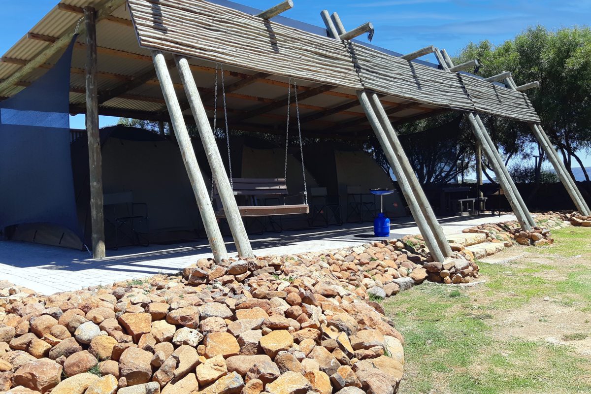 edit-20230221_123535 edit-20230221_123535